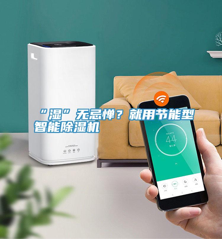 “濕”無忌憚？就用節能型智能除濕機