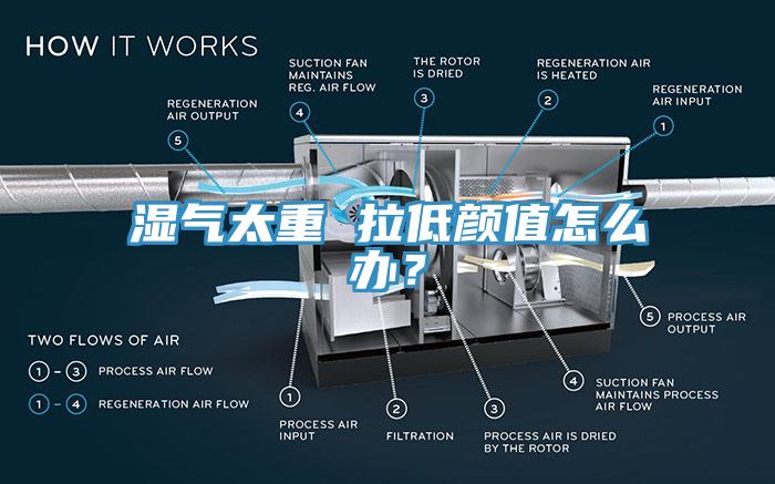 濕氣太重 拉低顏值怎么辦？