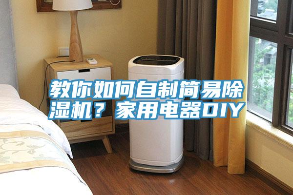 教你如何自制簡易除濕機？家用電器DIY