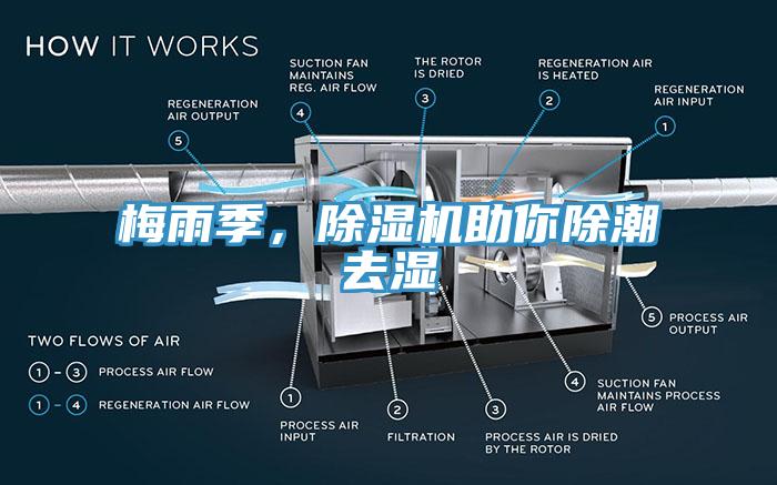 梅雨季，除濕機助你除潮去濕