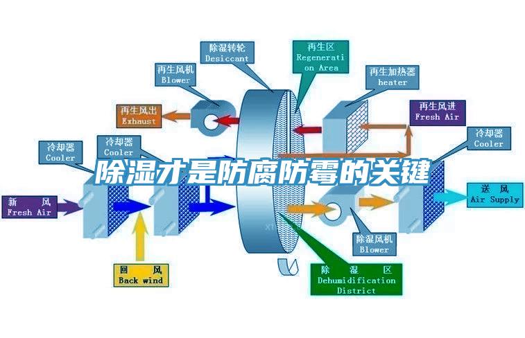 除濕才是防腐防霉的關鍵