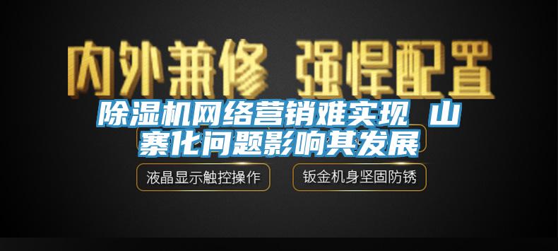 除濕機網絡營銷難實現 山寨化問題影響其發展