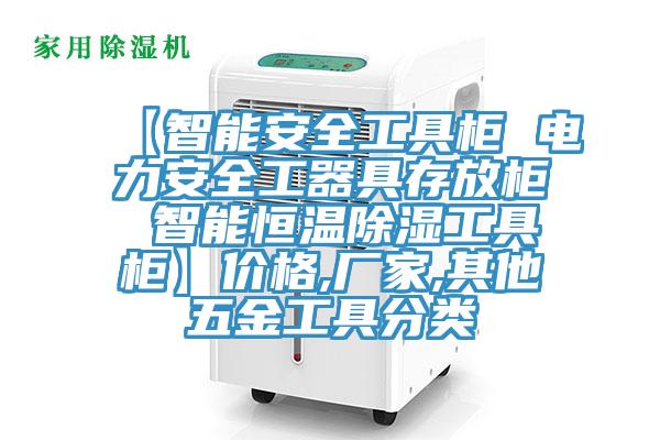 【智能安全工具柜 電力安全工器具存放柜 智能恒溫除濕工具柜】價格,廠家,其他五金工具分類