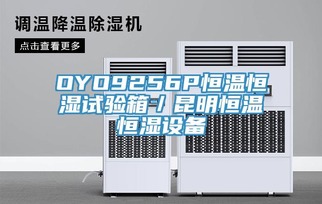 OYO9256P恒溫恒濕試驗箱／昆明恒溫恒濕設備