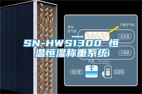 SN-HWS1300 恒溫恒濕稱重系統(tǒng)