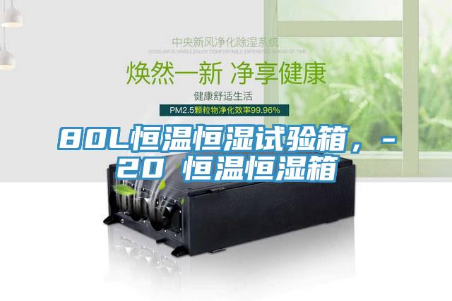 80L恒溫恒濕試驗箱，-20℃恒溫恒濕箱