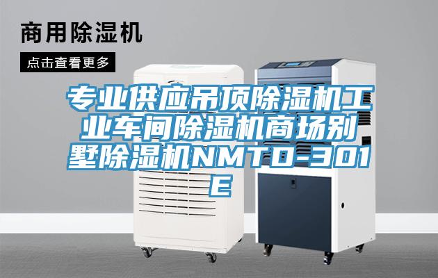 專業供應吊頂除濕機工業車間除濕機商場別墅除濕機NMTD-301E