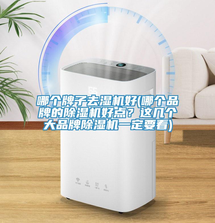 哪個牌子去濕機好(哪個品牌的除濕機好點？這幾個大品牌除濕機一定要看)