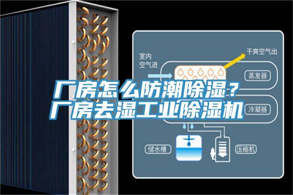 廠房怎么防潮除濕？廠房去濕工業除濕機