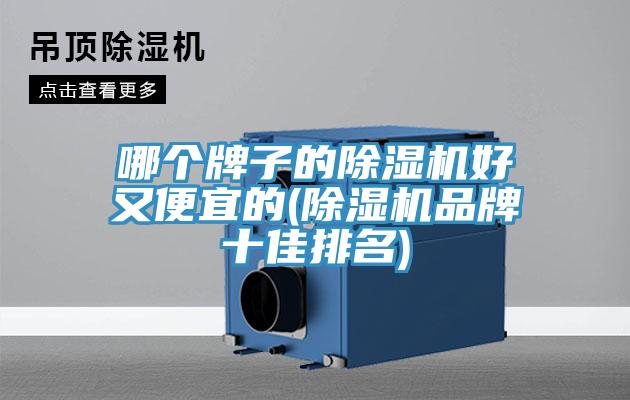 哪個牌子的除濕機好又便宜的(除濕機品牌十佳排名)