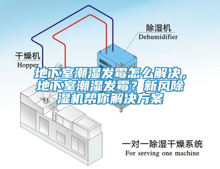 地下室潮濕發霉怎么解決，地下室潮濕發霉？新風除濕機幫你解決方案