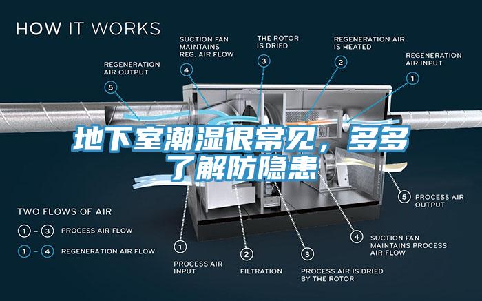 地下室潮濕很常見，多多了解防隱患