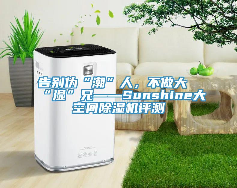 告別偽“潮”人，不做大“濕”兄——Sunshine大空間除濕機評測