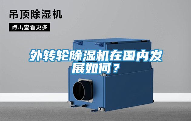 外轉輪除濕機在國內發展如何？