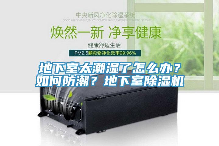 地下室太潮濕了怎么辦？如何防潮？地下室除濕機