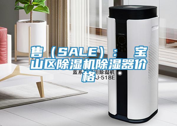 售（SALE）： 寶山區除濕機除濕器價格