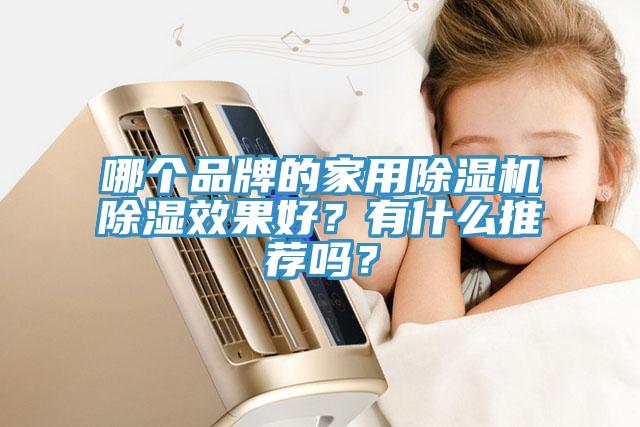 哪個品牌的家用除濕機除濕效果好？有什么推薦嗎？