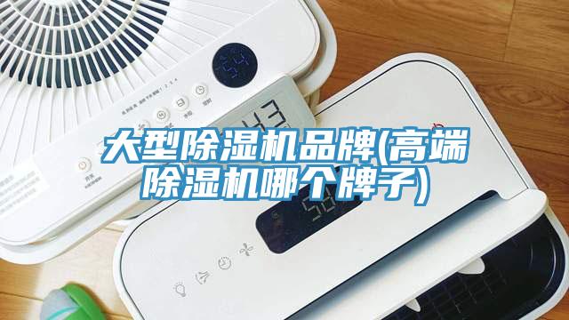 大型除濕機品牌(高端除濕機哪個牌子)