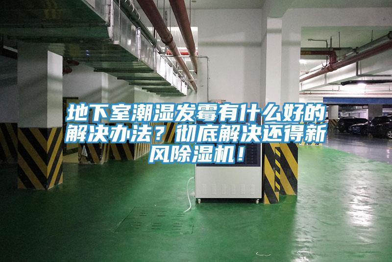 地下室潮濕發霉有什么好的解決辦法？徹底解決還得新風除濕機！