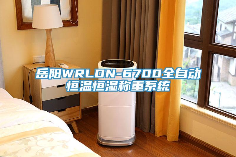 岳陽WRLDN-6700全自動恒溫恒濕稱重系統