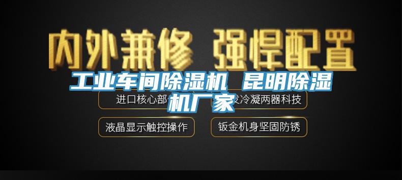 工業(yè)車間除濕機(jī) 昆明除濕機(jī)廠家