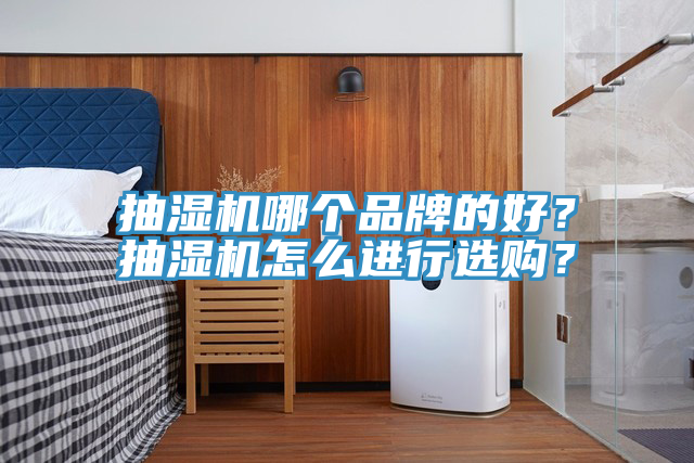 抽濕機哪個品牌的好？抽濕機怎么進行選購？