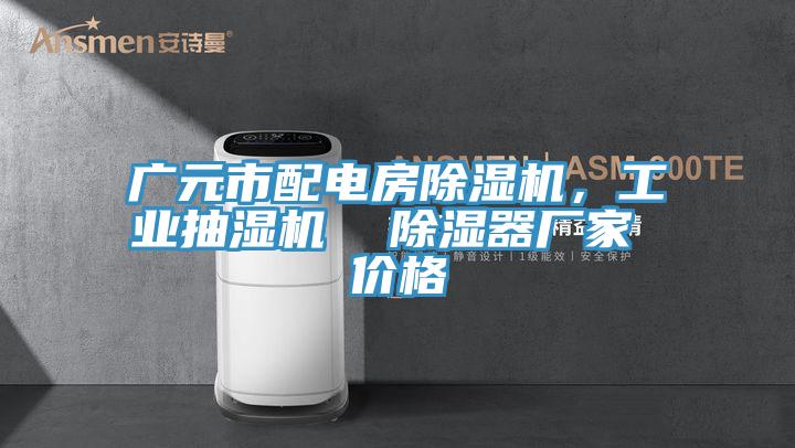 廣元市配電房除濕機(jī)，工業(yè)抽濕機(jī)  除濕器廠家 價格