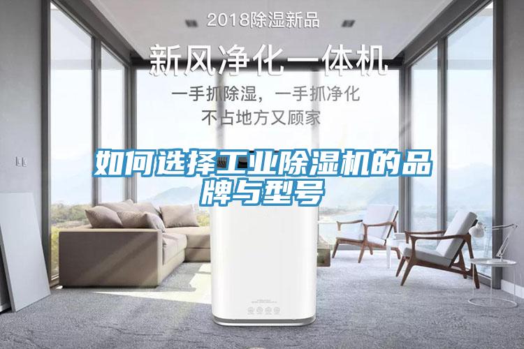 如何選擇工業(yè)除濕機的品牌與型號