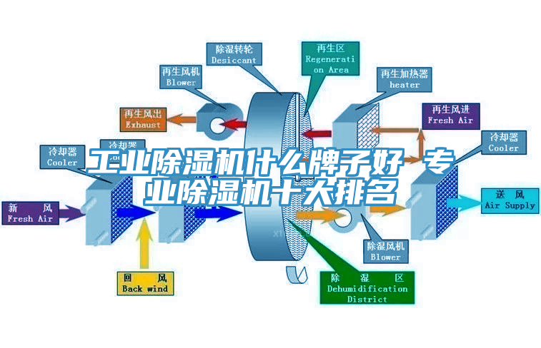 工業除濕機什么牌子好 專業除濕機十大排名