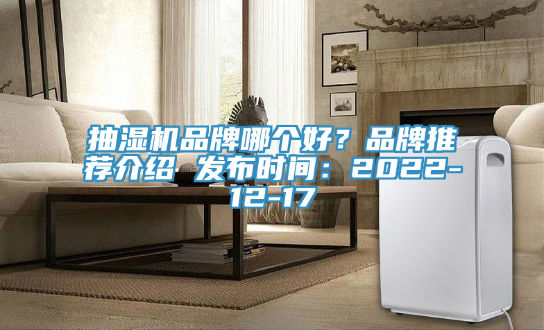 抽濕機品牌哪個好？品牌推薦介紹 發布時間：2022-12-17