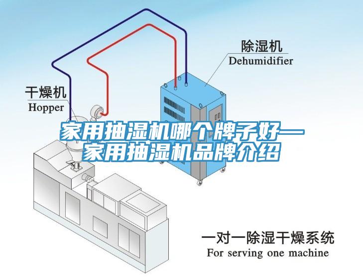 家用抽濕機哪個牌子好—家用抽濕機品牌介紹