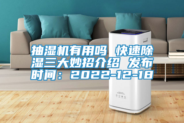 抽濕機有用嗎 快速除濕三大妙招介紹 發布時間：2022-12-18