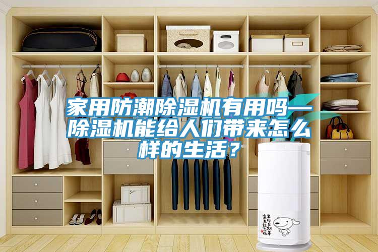 家用防潮除濕機有用嗎—除濕機能給人們帶來怎么樣的生活？