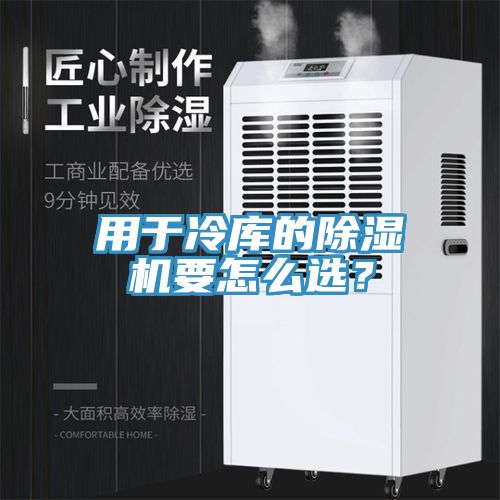 用于冷庫的除濕機要怎么選？