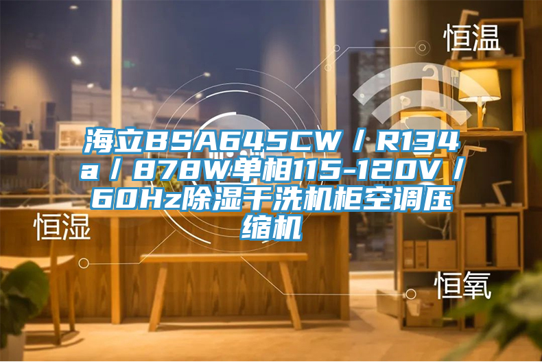 海立BSA645CW／R134a／878W單相115-120V／60Hz除濕干洗機柜空調壓縮機