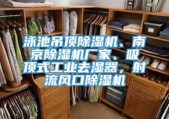 泳池吊頂除濕機、南京除濕機廠家、吸頂式工業去濕器，射流風口除濕機