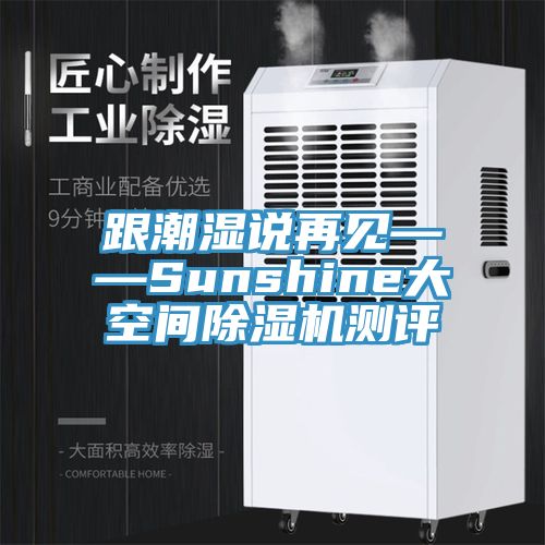 跟潮濕說再見——Sunshine大空間除濕機(jī)測評