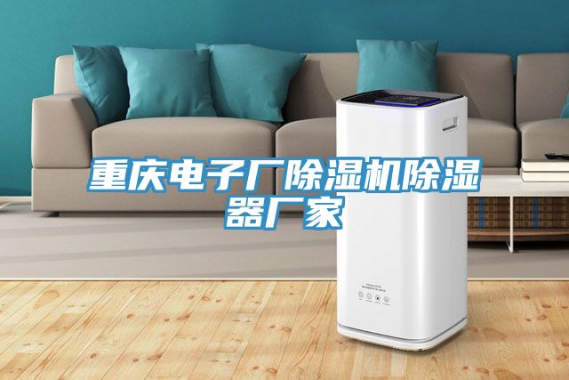 重慶電子廠除濕機除濕器廠家