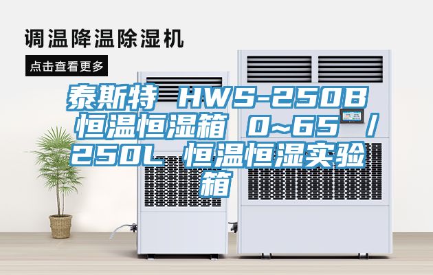 泰斯特 HWS-250B 恒溫恒濕箱 0~65℃／250L 恒溫恒濕實驗箱