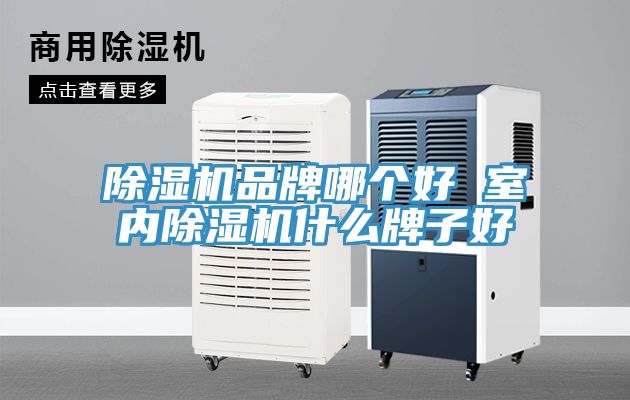 除濕機品牌哪個好 室內(nèi)除濕機什么牌子好