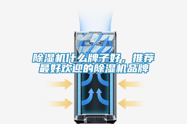 除濕機什么牌子好，推薦最好歡迎的除濕機品牌