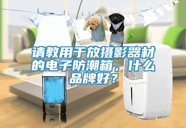 請(qǐng)教用于放攝影器材的電子防潮箱，什么品牌好？