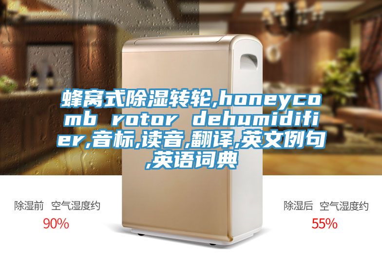 蜂窩式除濕轉輪,honeycomb rotor dehumidifier,音標,讀音,翻譯,英文例句,英語詞典