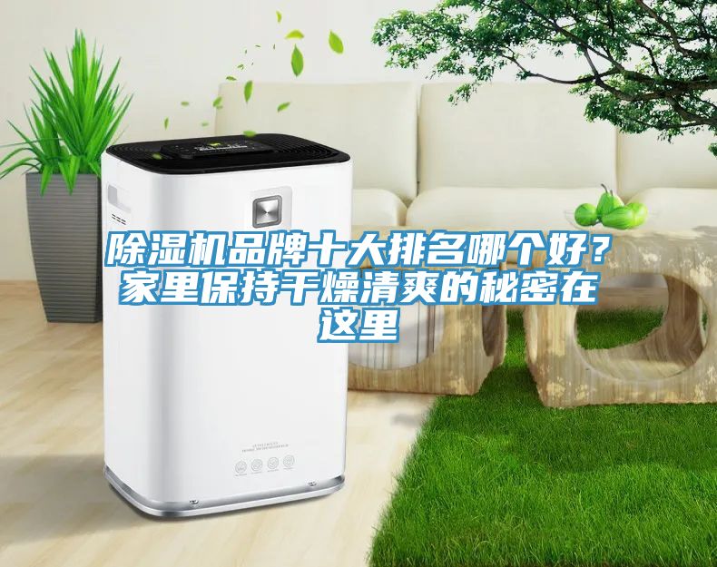 除濕機品牌十大排名哪個好？家里保持干燥清爽的秘密在這里