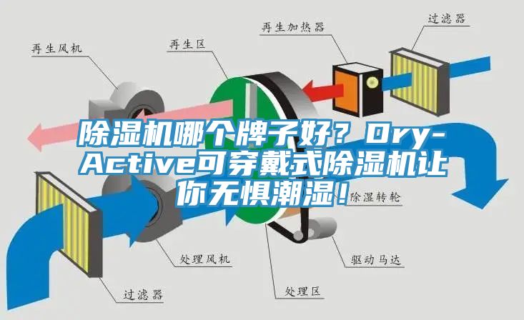 除濕機哪個牌子好？Dry-Active可穿戴式除濕機讓你無懼潮濕！