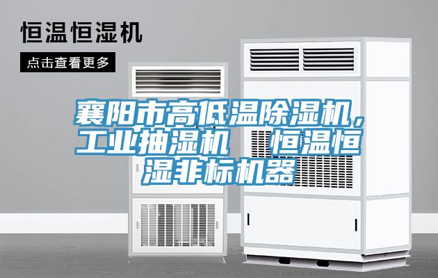 襄陽市高低溫除濕機，工業(yè)抽濕機  恒溫恒濕非標(biāo)機器