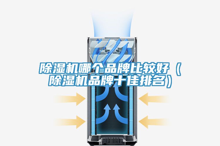 除濕機哪個品牌比較好（除濕機品牌十佳排名）