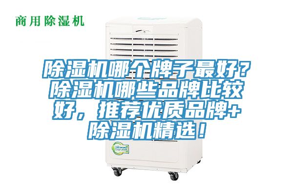 除濕機哪個牌子最好？除濕機哪些品牌比較好，推薦優質品牌+除濕機精選！